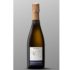 Champagne Roger Coulon 1er Cru - Brut NV - Heri-Hodie